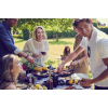 Купить онлайн NomadiQ BBQ — портативный газовый гриль