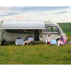 Купить онлайн Dometic 500/600 - Сменное полотно 2,6 м Серые волны