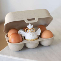 Купить онлайн Коробка для 6 яиц EGGS TO GO