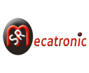Логотип Mecatronic