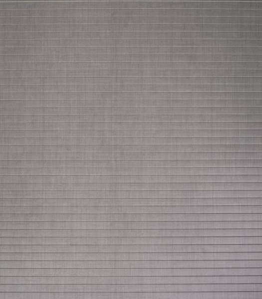 Купить онлайн Комплект рулонных ворот Carbest - фактурный бежевый