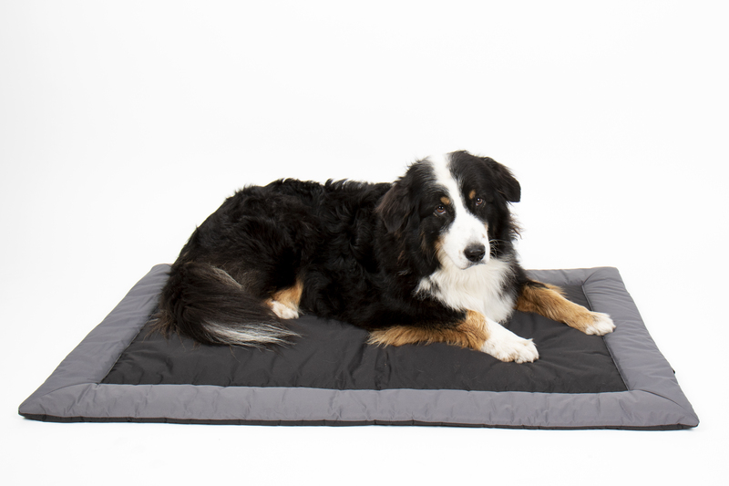 Купить онлайн Уличное одеяло для собак ABBY