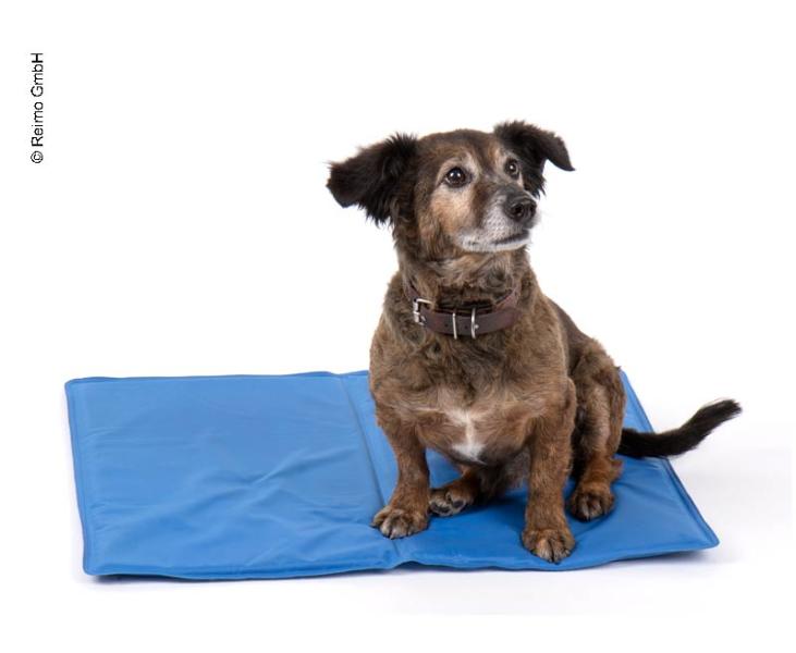 Купить онлайн Комфортный охлаждающий коврик для собак - синий