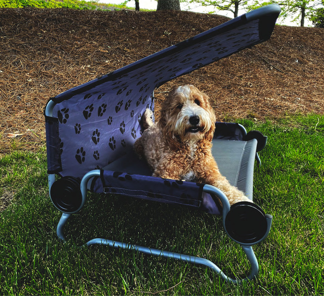 Купить онлайн Кровать для собак Disc-O-Bed DOG BED Large