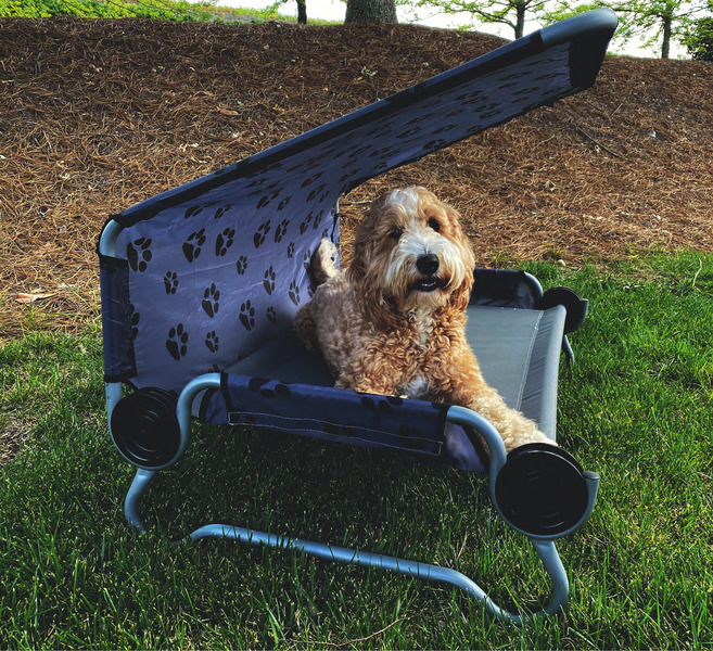 Купить онлайн Лежак для собак Disc-O-Bed DOG BED Small